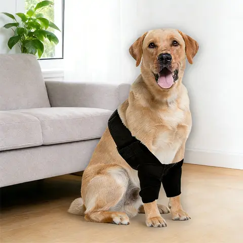 Attelle de protection complète pour coude de chien, pour toutes les races, pour le coude, l'épaule, la patte avant et les articulations des pattes
