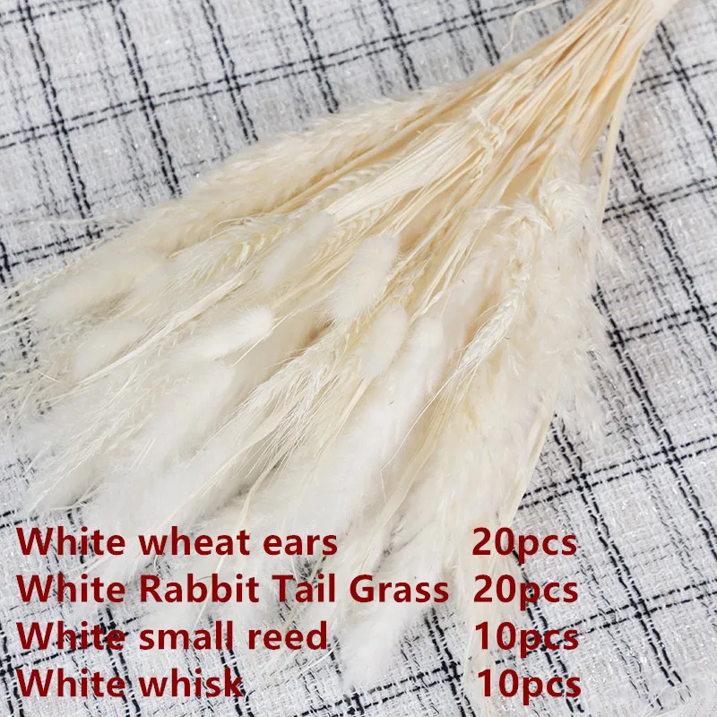 Wheat Ear Small Pampas Whisk Dust Aquatic Reed Rabbittail Grass Mixed Dry Bouquet Bedroom Balcony Decoration Furniture Ornaments