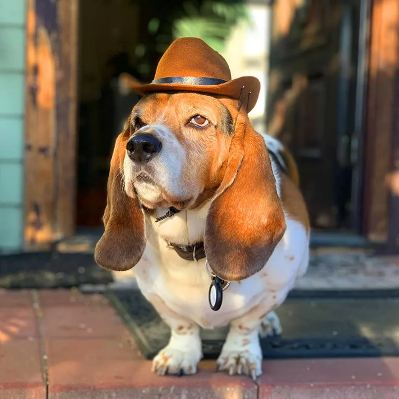 New pet hat cosplay, the latest hot selling accessory, handsome photo taking, casual style, cat, dog, western cowboy hat