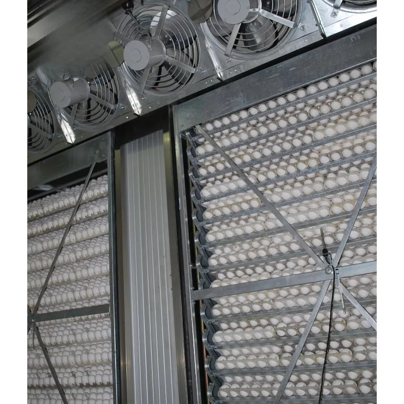 Tunnel-Style Fully Automatic Digital 75600 Pcs Eggs Incubator for Poultry Farm Use Multi-stage Customized
