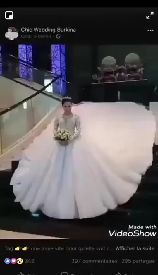 

Customized Lace Women Wedding Dress Elegant Beaded Ball Gown Long Sleeve See Through Long Train Wedding Dress