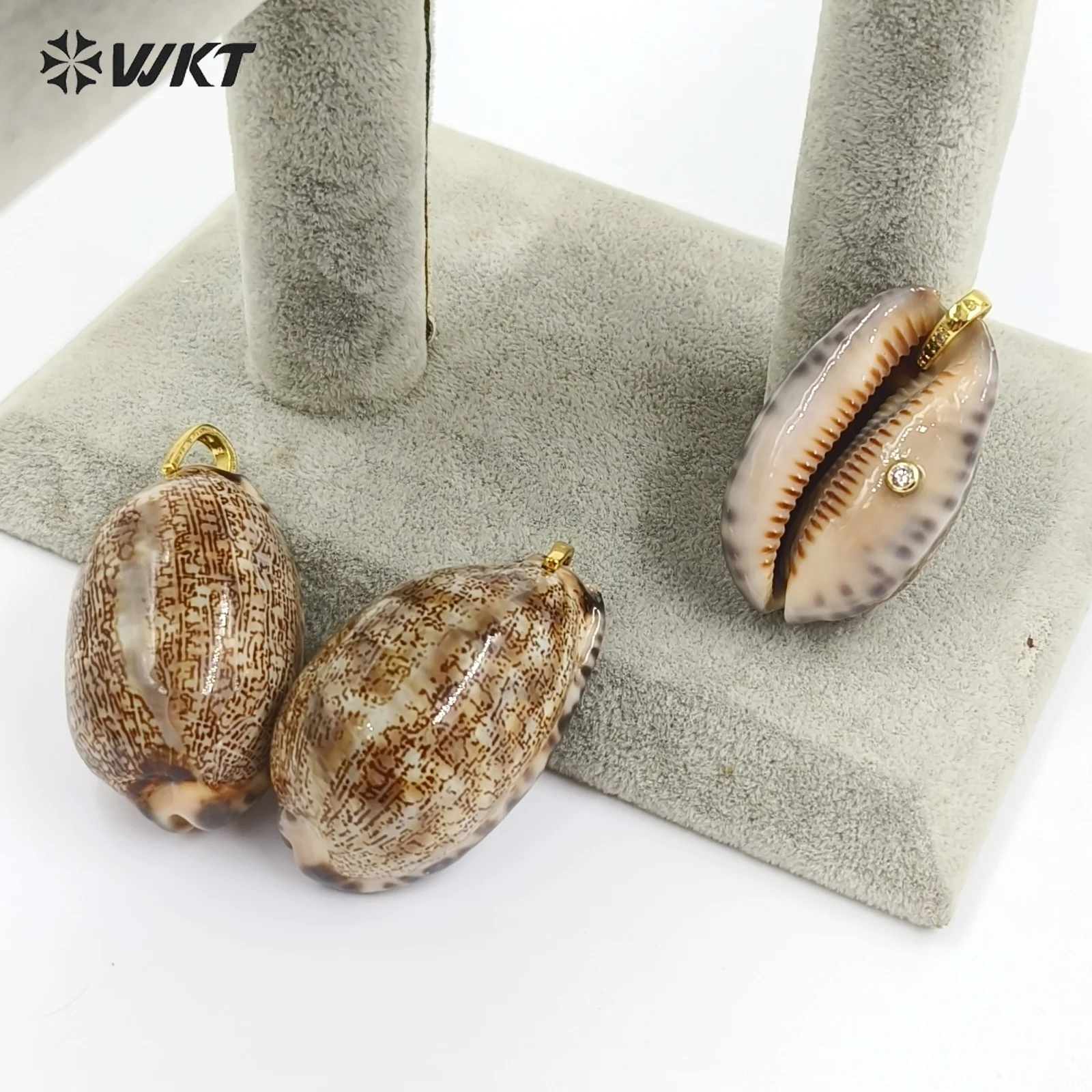 WT-JP492 New Products Colorful Zircon And Natural Arabian Cowrie Shell Pendants For Bracelet Jewelry Decoration Making