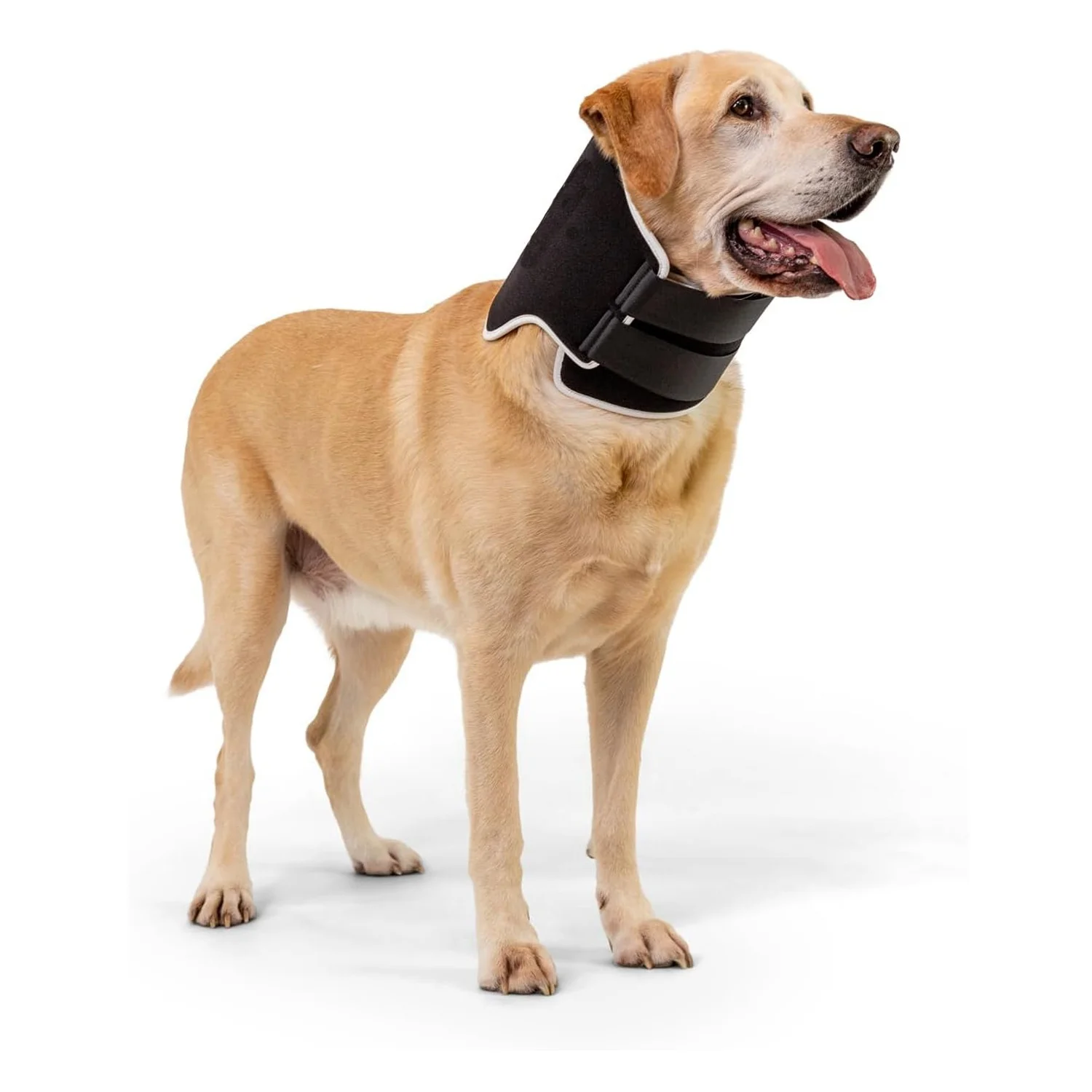 

Pet Recovery Collar Post-Surgery Neck Brace Wound Protection Dog Cone Alternative Solid Pattern