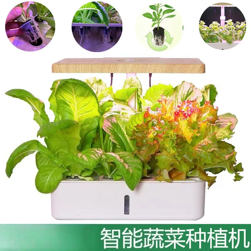 

Smart Home Hydroponic Growing System - Soil-free Vegetable Flower Planter Box for Indoor Gardening