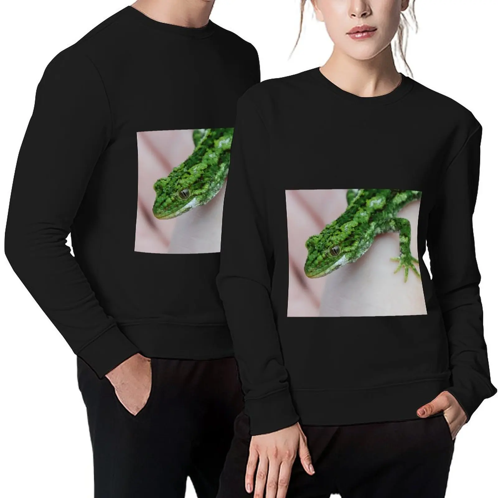 

Close-up green and white gecko Pullover male clothes men clothing clothes for men men's sweat-shirt sweatshirt male