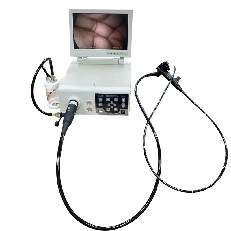 SY-P033-1 Portable Veterinary Video Gastroscope Trolley Multifunctional Colonoscopy Tower Veterinary Endoscopy