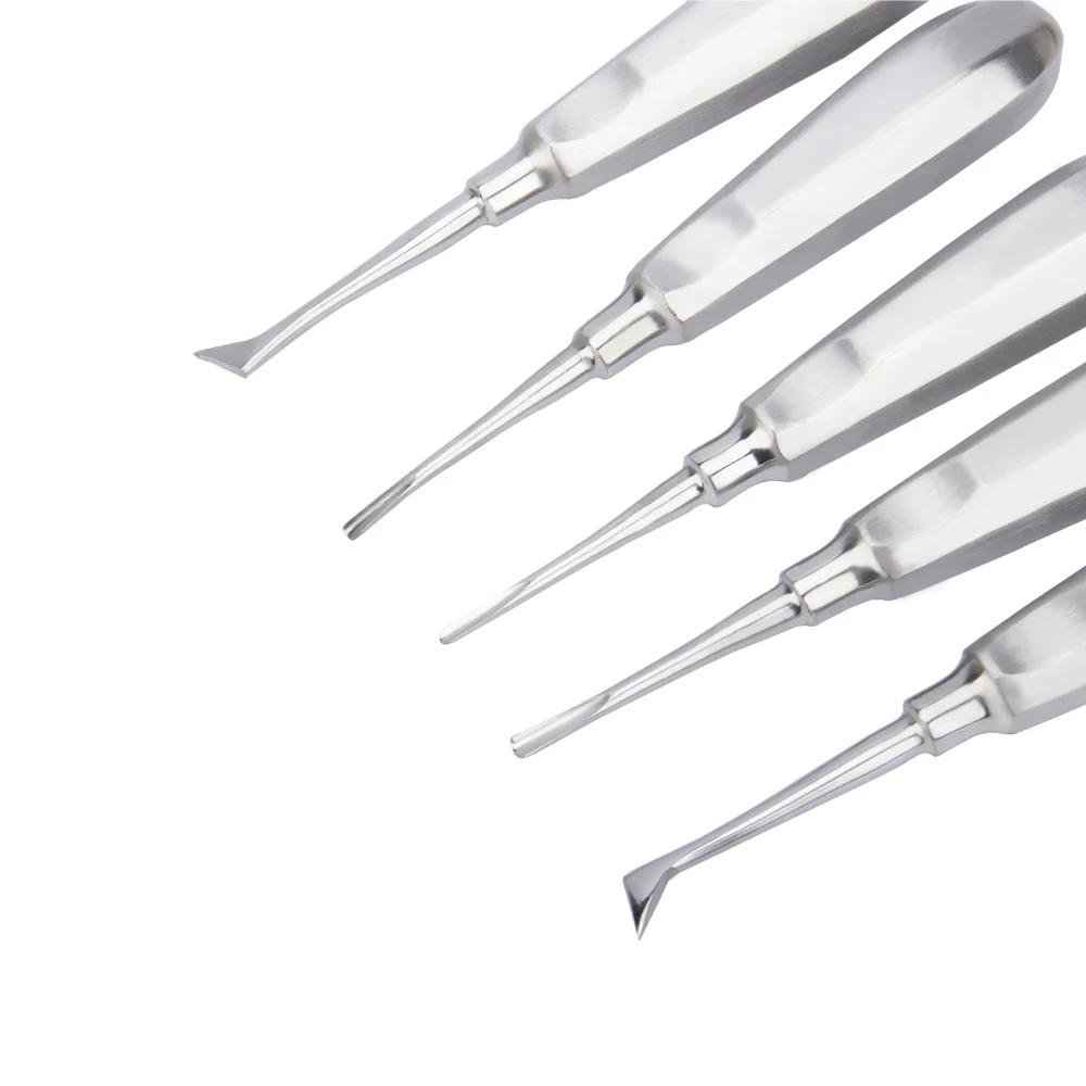 10pcs/set Dental Elevator Set Stainless Steel Curved Root Lift Elevator for Tooth Extracting Surgical Tools Dentist Instruments