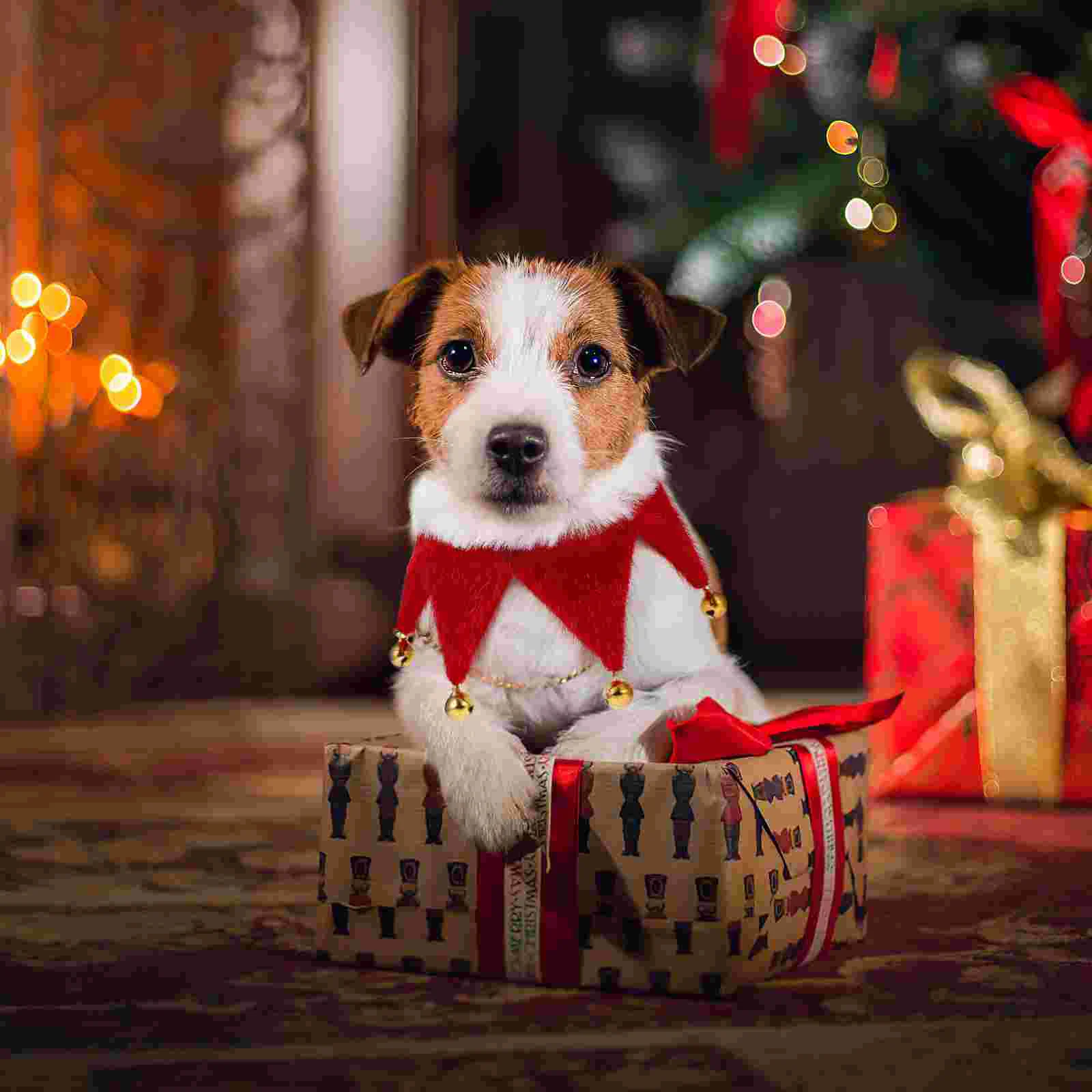 Foulard de la présidence de Noël pour animaux de compagnie, écharpes festives pour chiens, bandanas pour chiens, grand costume d'Halloween