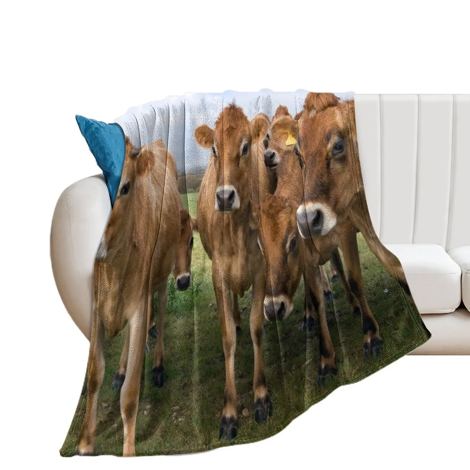 

Curious Jersey Cows Throw Blanket Flannels christmas decoration warm winter funny gift Blankets