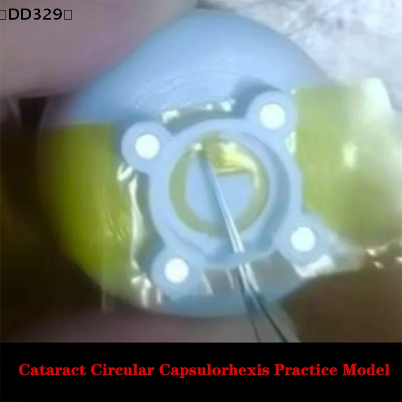 2.0/3.0 Ophthalmology Phacoemulsification Capsulorhexis Forceps Circular Capsulorhexis Practice Model 1meter Film〔DD329〕