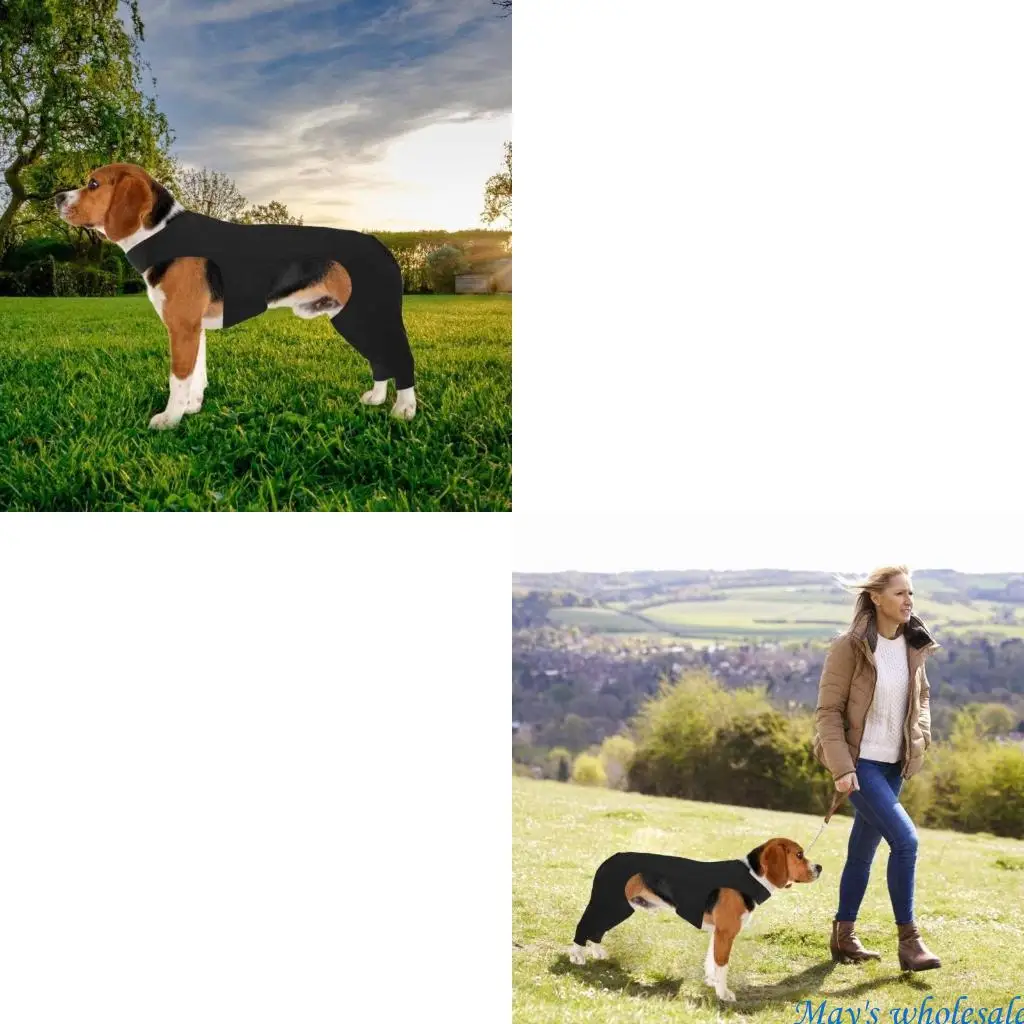 

Удобные нарукавники для собак, предотвращающие облизывание нескольких размеров, меньше дискомфорта 448A