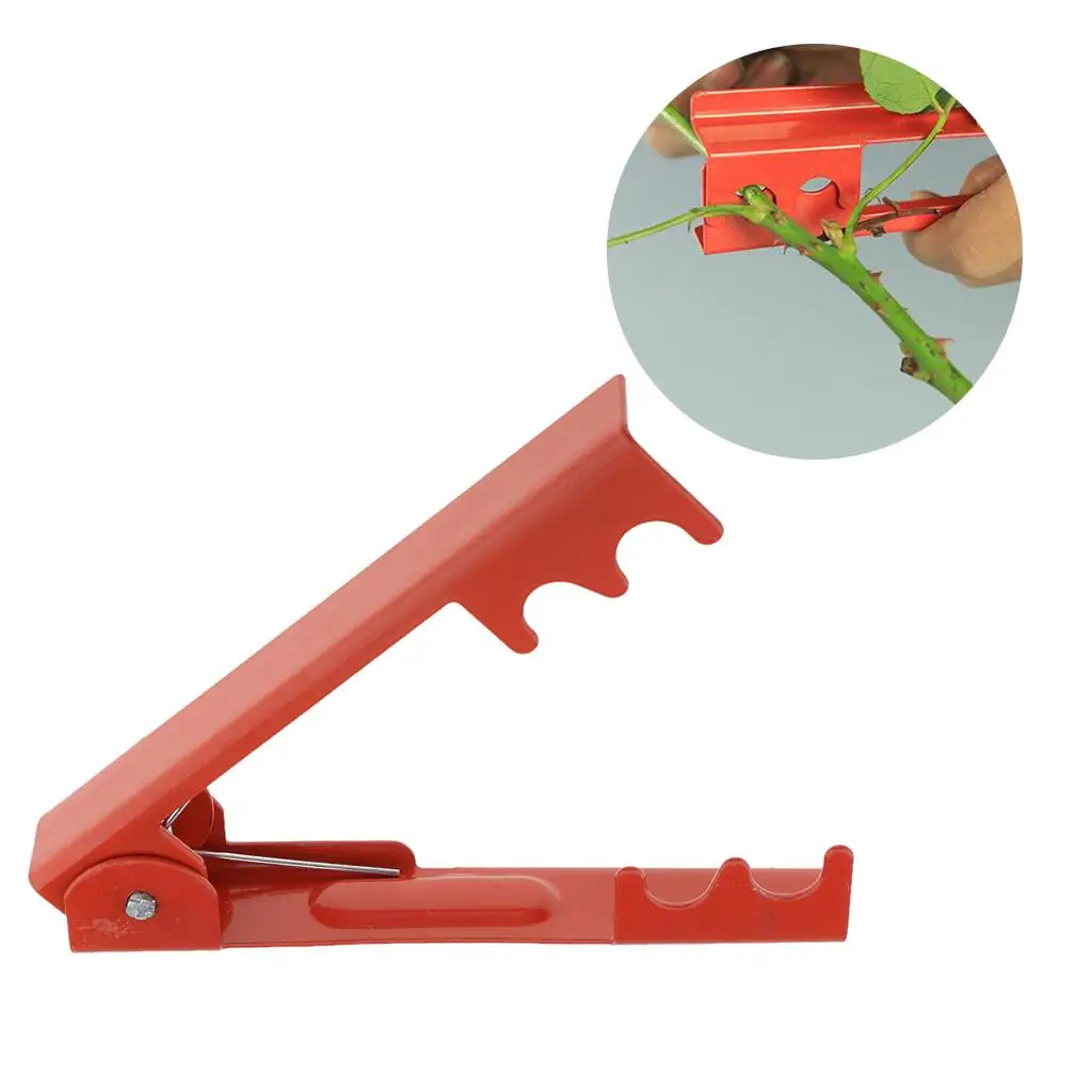 Strumento spelafili per spine e foglie Strumento per piercing alla rosa Clip per guanto per giardino