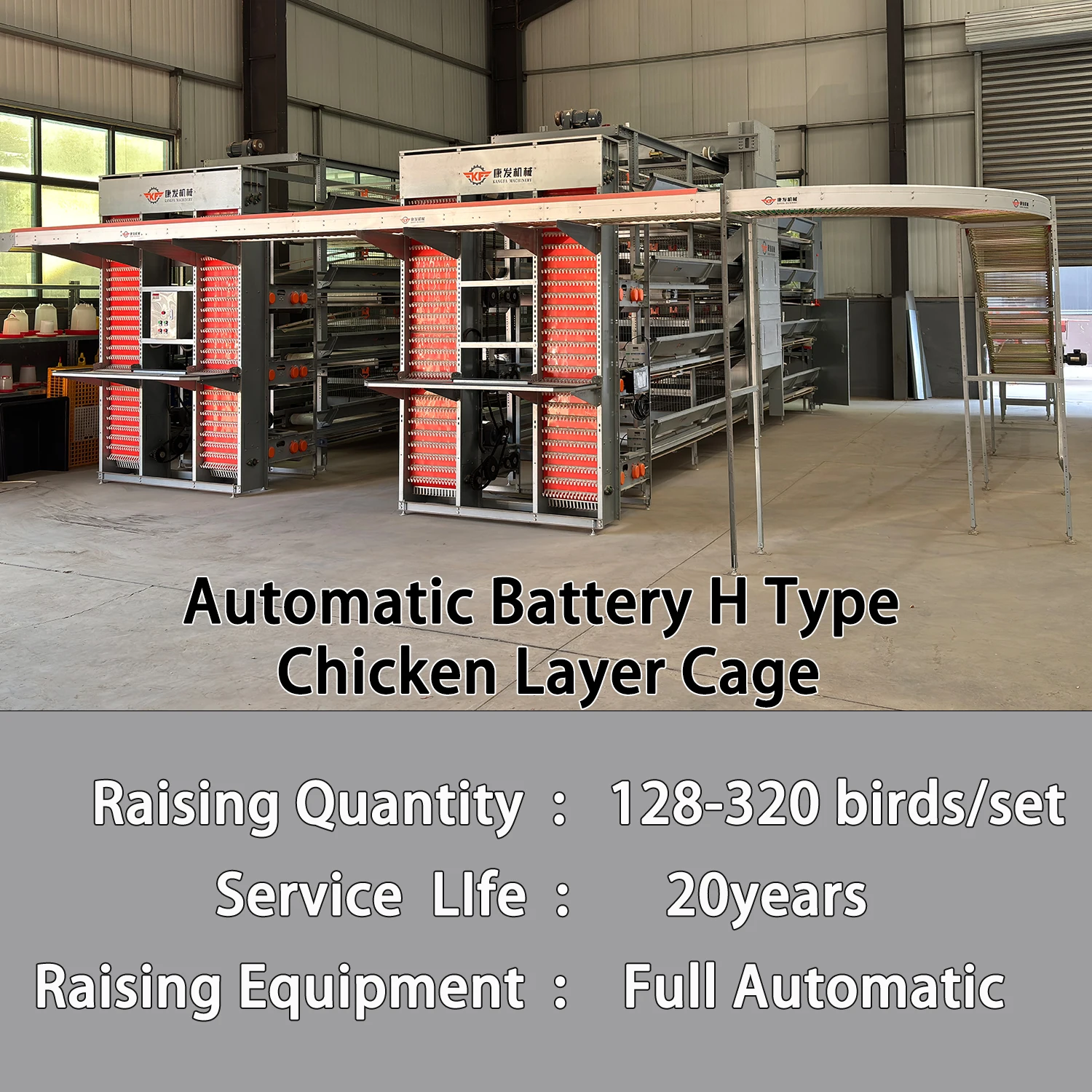New Factory Sale Automatic Egg-collecting System H Type 4 Tiers Hot Dip Galvanized Steel Layer Poultry Battery Cages 5 Year