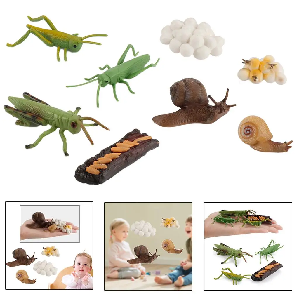 

Grasshopper / Animal Growth Life Cycle Figures Playset Kids Pre Imagination Toys Role Play Themed Party
