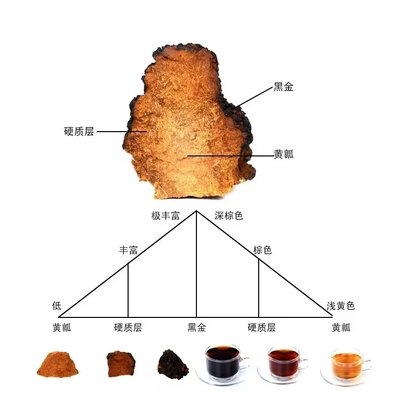 100% Natural de setas de abedul Chaga salvaje importadas chinas para belleza y salud, joyería de jabón DIY, fabricación de velas de boda, decoración del hogar