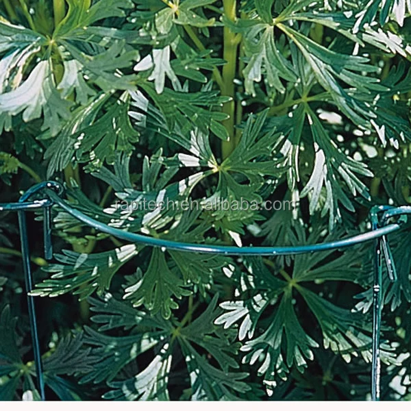 Podpórki do roślin ogrodowych