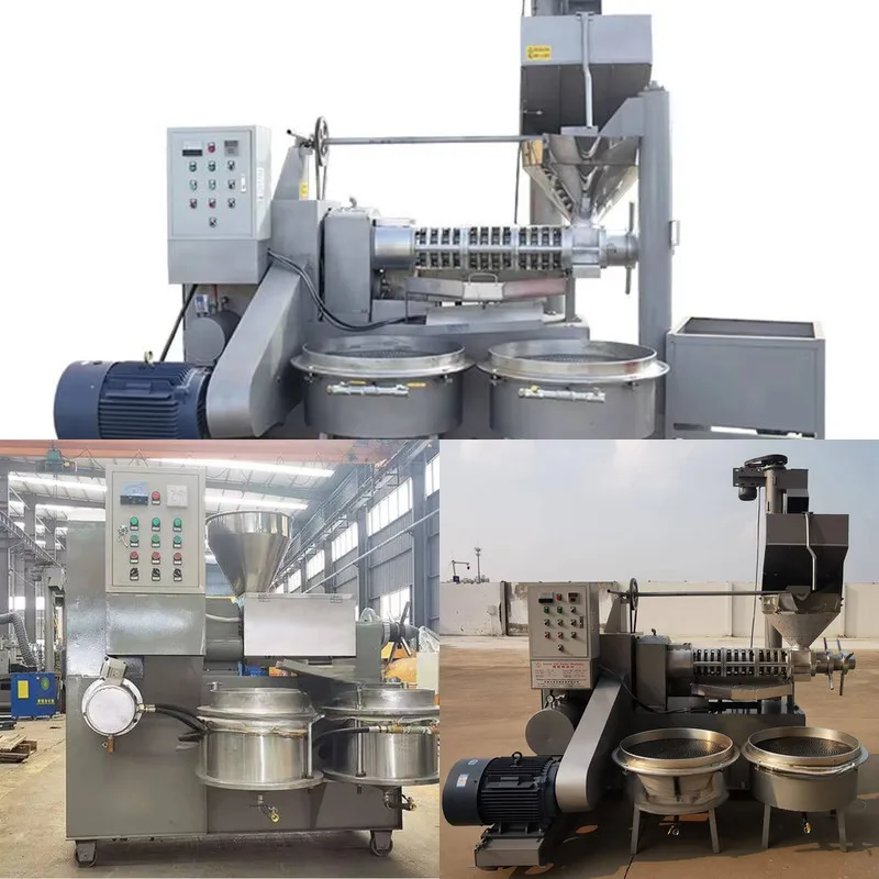 Cold And Hot Screw Press Hine High Yield Suower Seed Coconut Soybean Oil Presser Edible Oil, Olives, Palms, Peanuts