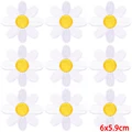 PE8888CT