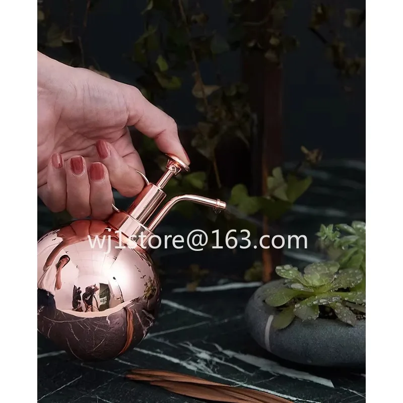 300Ml Stainless Steel Nordic Style Vintage Plant Spray Bottle Water Sprayer