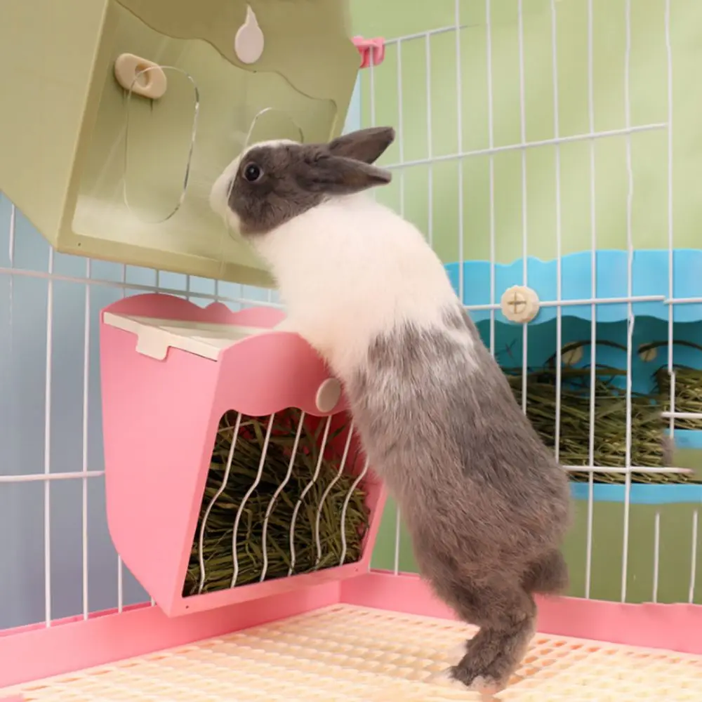 Thumbnail 3 - #11 Top 40 Small Animal Supplies Worth Buying In 2026