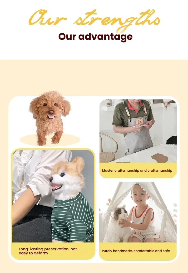 Dropshipping Gift Pet Commemorative Teddy VIP Exclusive Custom Handmade Simulated Cat and Dog Plush Toy Gift