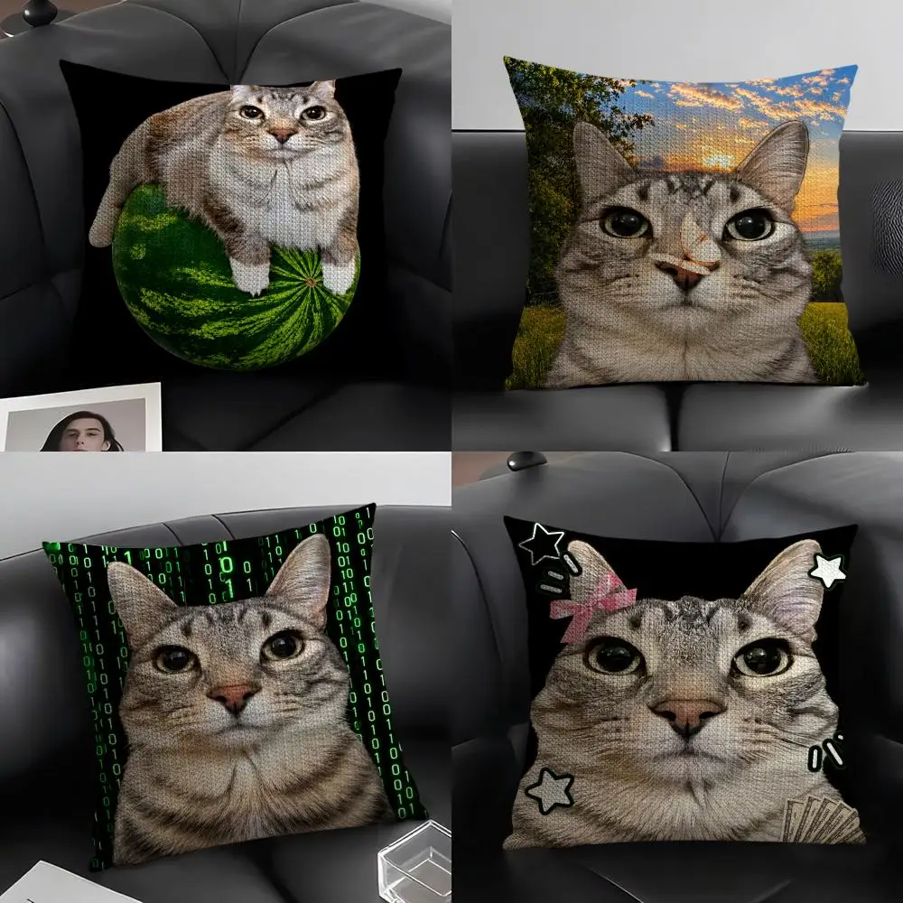 Funny Meme Cat Creative Collection Cushion Cover Natural Linen Organic Fabric Double-Sided Printing Breathable For Decor
