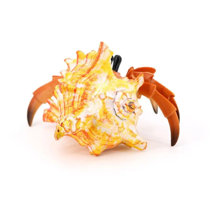 محاكاة النماذج البيولوجية لأرضية البحر البحرية حيوانات بلاستيكية صلبة، سلطعون الناسك، ألعاب السلطعون، زينة هدايا للأطفال #4