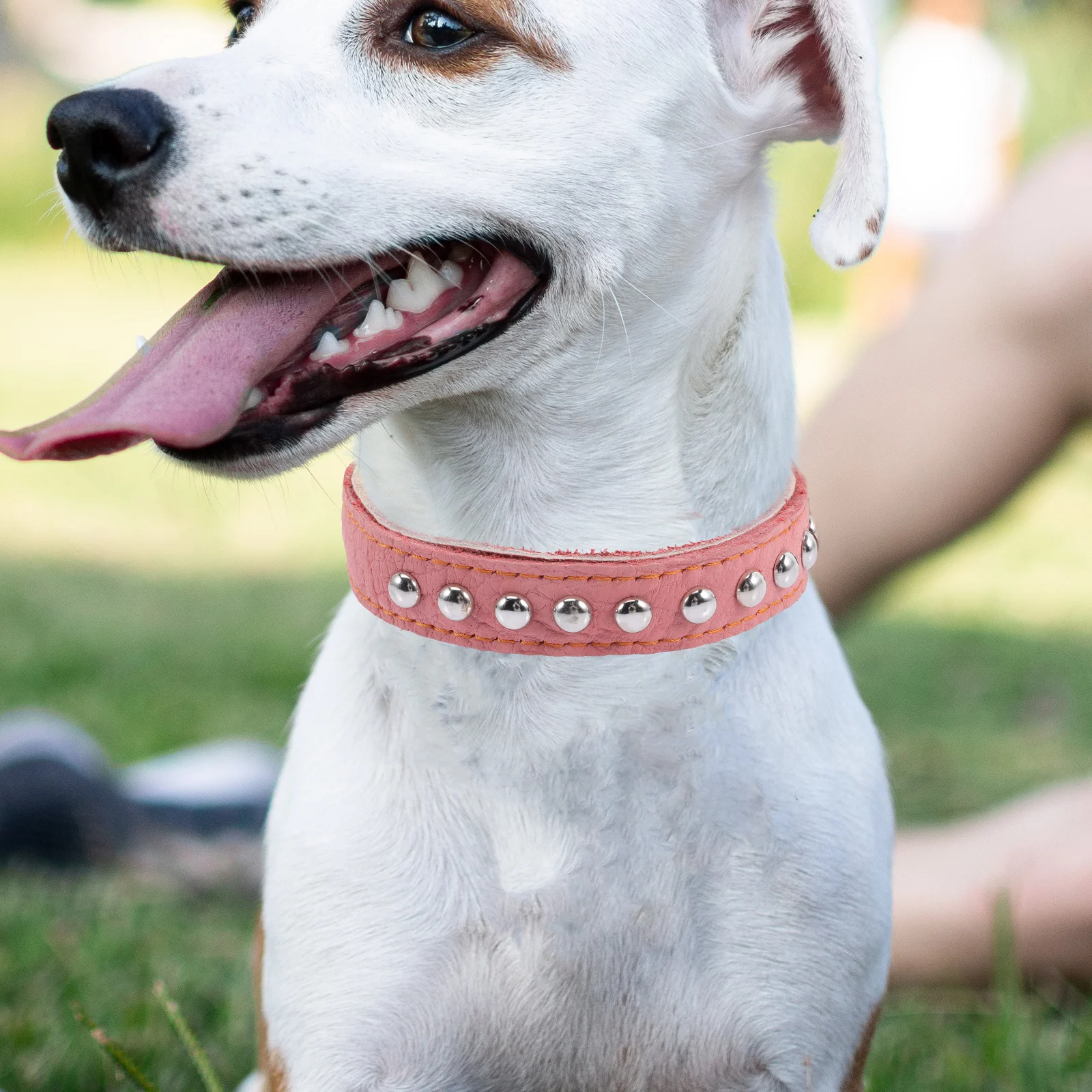 

Stylish Adjustable Dog Collar Comfortable Pet Neck Tie Vintage Design Decorative Party Wear Skin-Friendly Breathable Supple