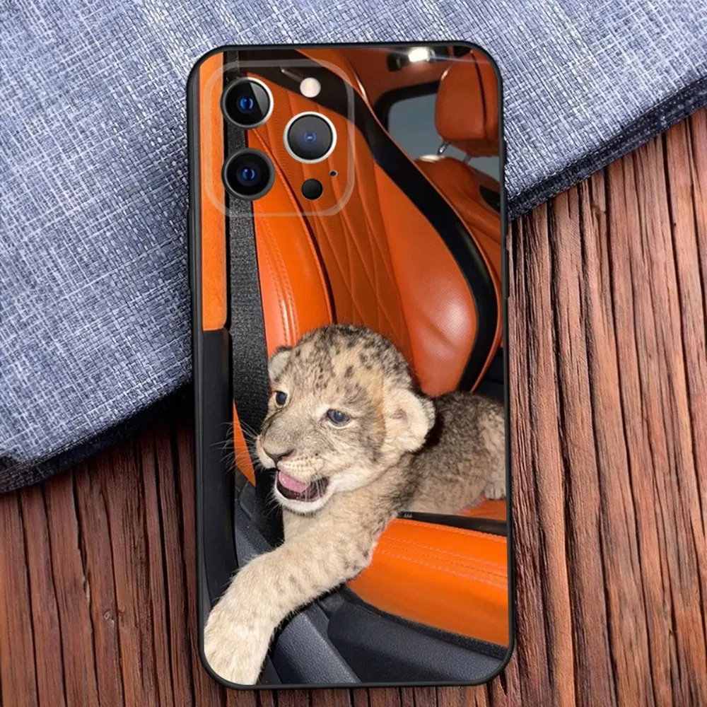 Cute Lion cub Phone Case For iPhone 16,15,14,13,12,11,Pro,X,XS,Max,XR,Plus,Mini Black Soft Silicone Case