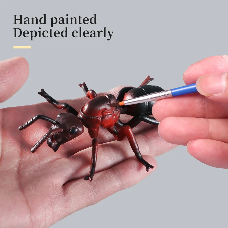 محاكاة الحشرات الصلبة نماذج للحيوانات النمل Arthropod عمل أرقام ألعاب معرفية تعليمية للبنين والبنات هدايا الأطفال