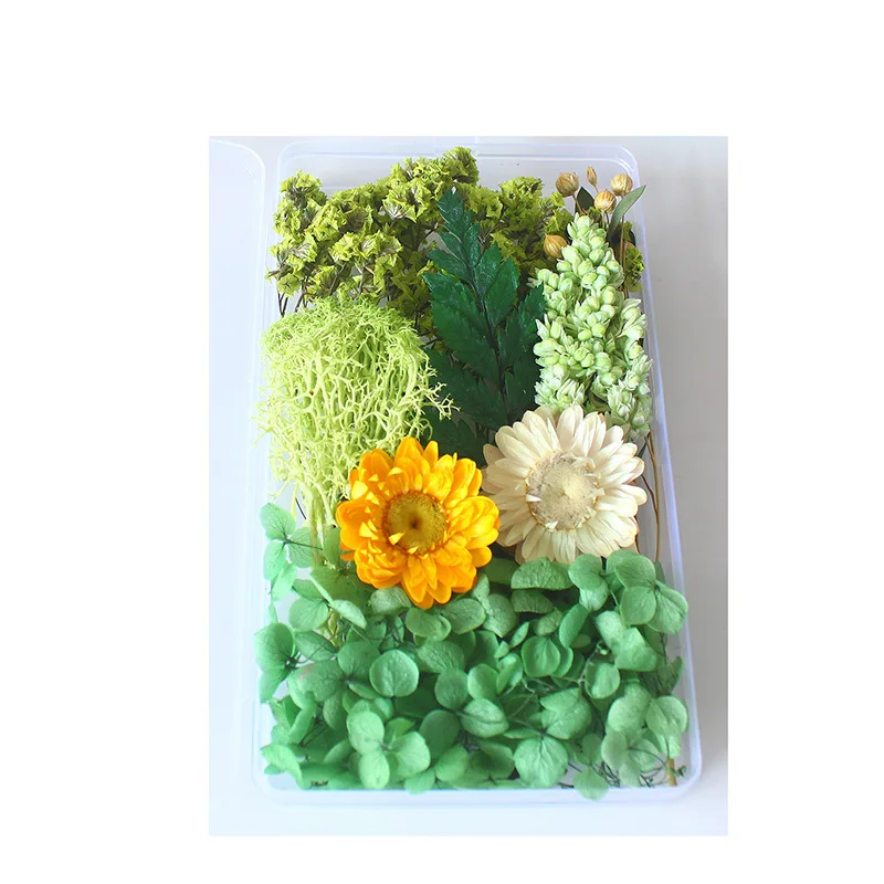 Confezione in scatola di fiori secchi Borsa in materiale per fiori eterni Cornice fai-da-te Bottiglia di vetro Colla a goccia Produzione artigianale di fiori reali fatti a mano