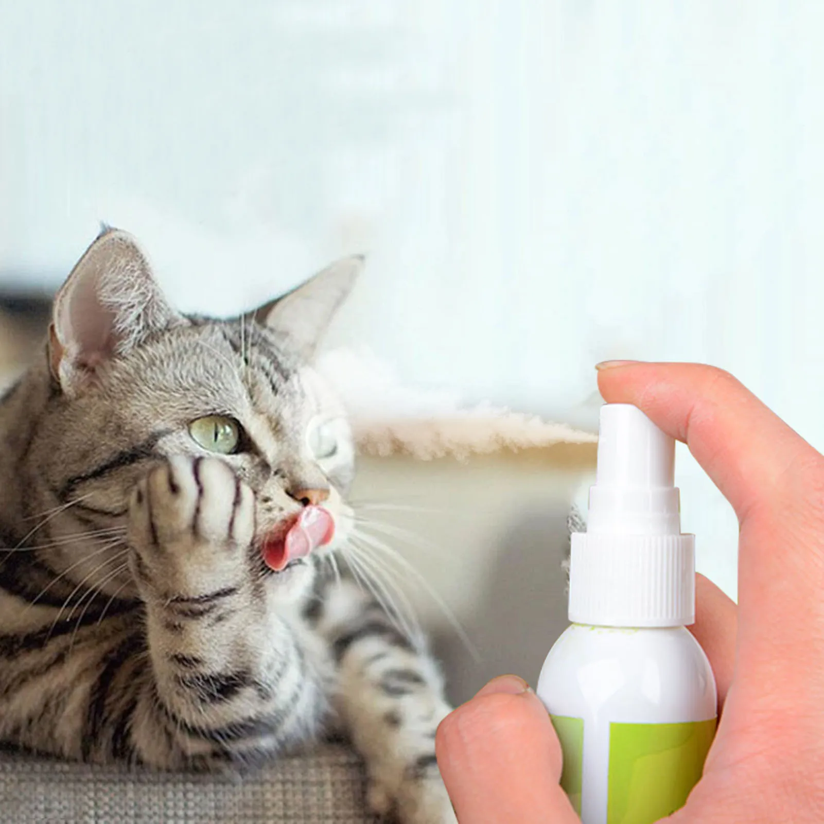 キャットニップスプレー,健康的な成分,キャットニップとキャットニップのスプレー,あなたの猫のための取り外し可能な芸術