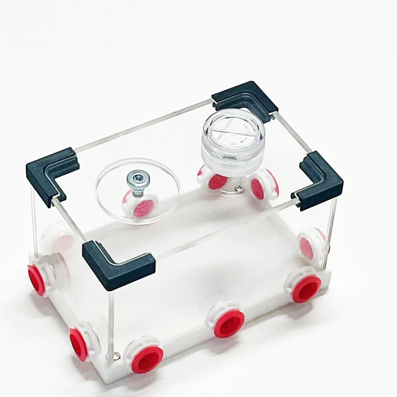 Ant Farm Arylic,Ins… - image