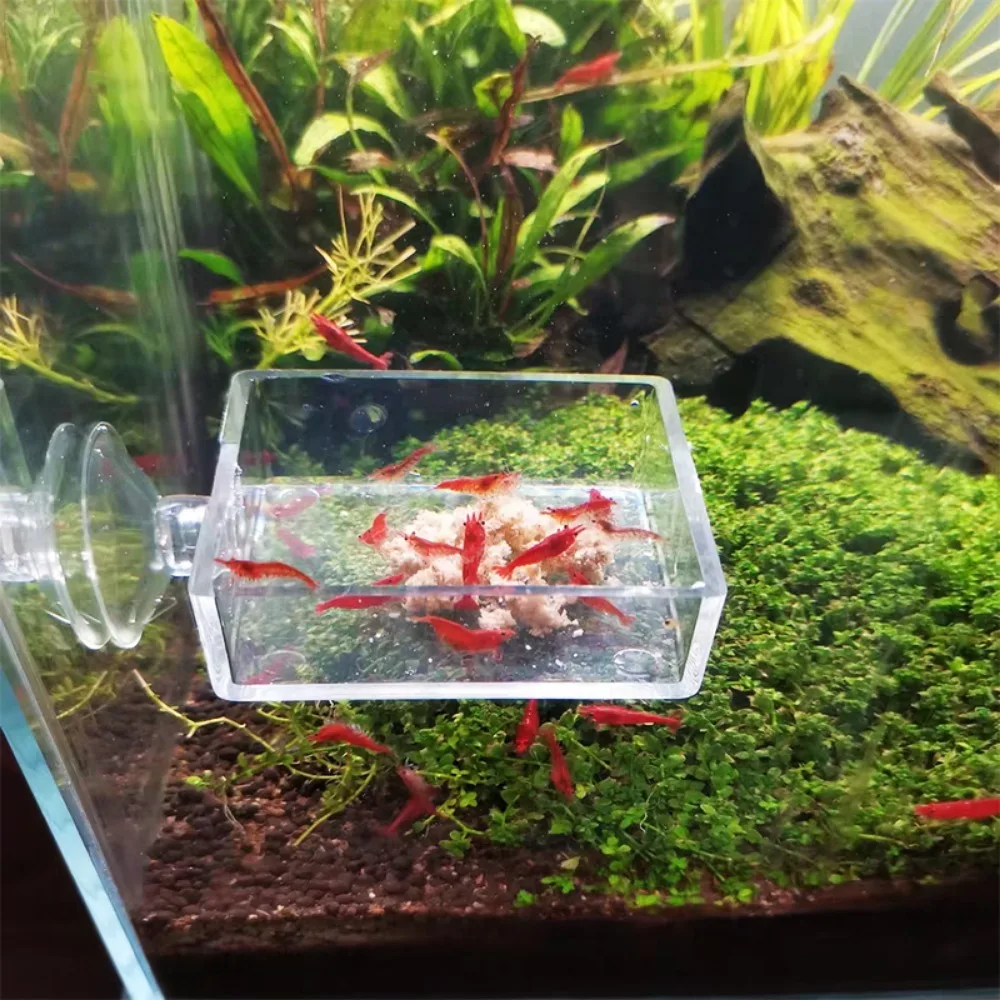 Aquarium Feeder Acrylic Transparent Fish Round Dishes Shrimp Food Box Fish and Shrimp Feeding Accessories