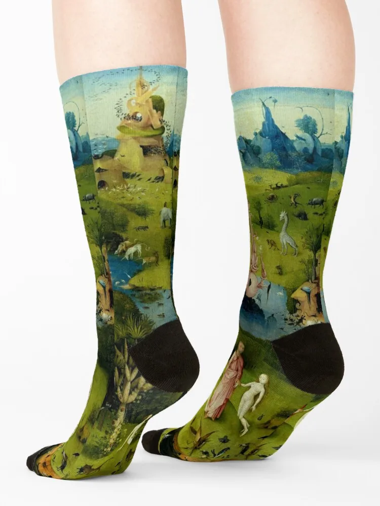 Hieronymus Bosch The Garden of Earthly Delights - The Heaven or The Creation Socks funny sock happy Women Socks Men's