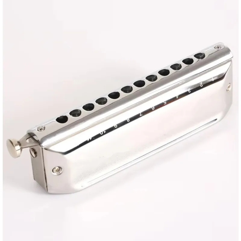 

Hooqu High-end Harmonica 12 Hole Titanium Chromatic Scale Professional Playing Teaching Harmonica