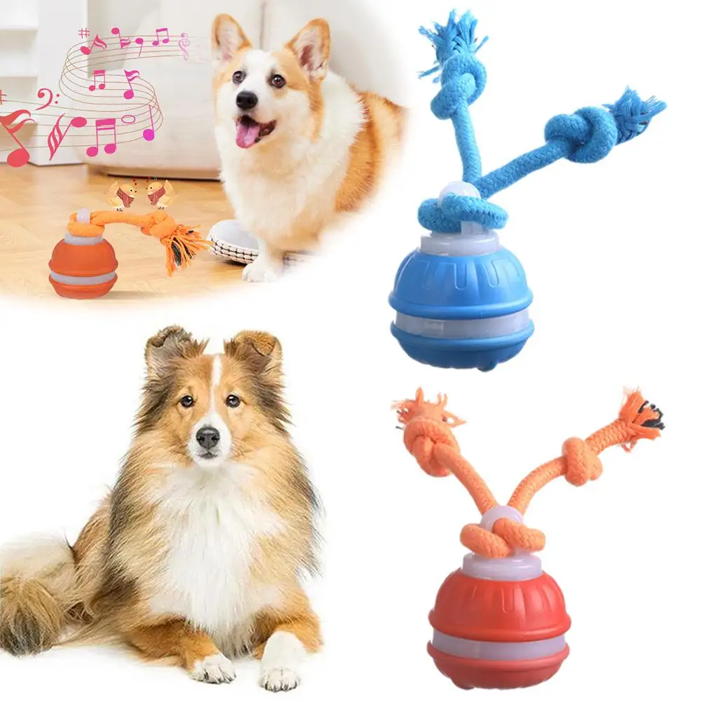 Thumbnail 3 - #30 Best Dog Balls to Buy In 2026