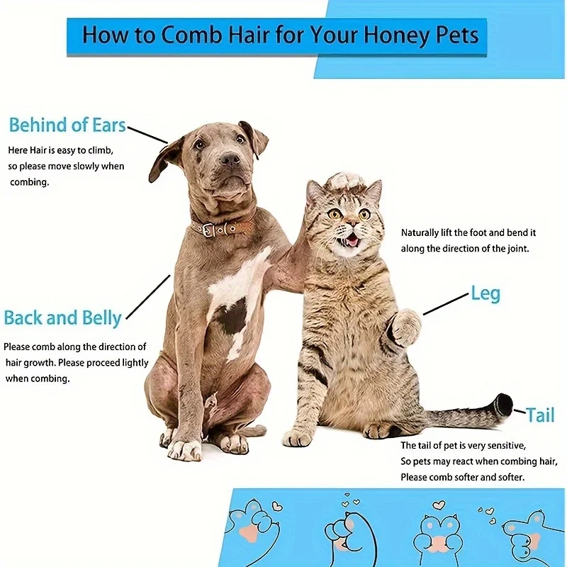 1 Selbstreinigende Katzen- und Hundebürste, hautfreundliche Schönheitsbürste für Haustiere, zur Haarentfernung bei Hunden und Katzen, einfach zu zerlegen. – Detail 4