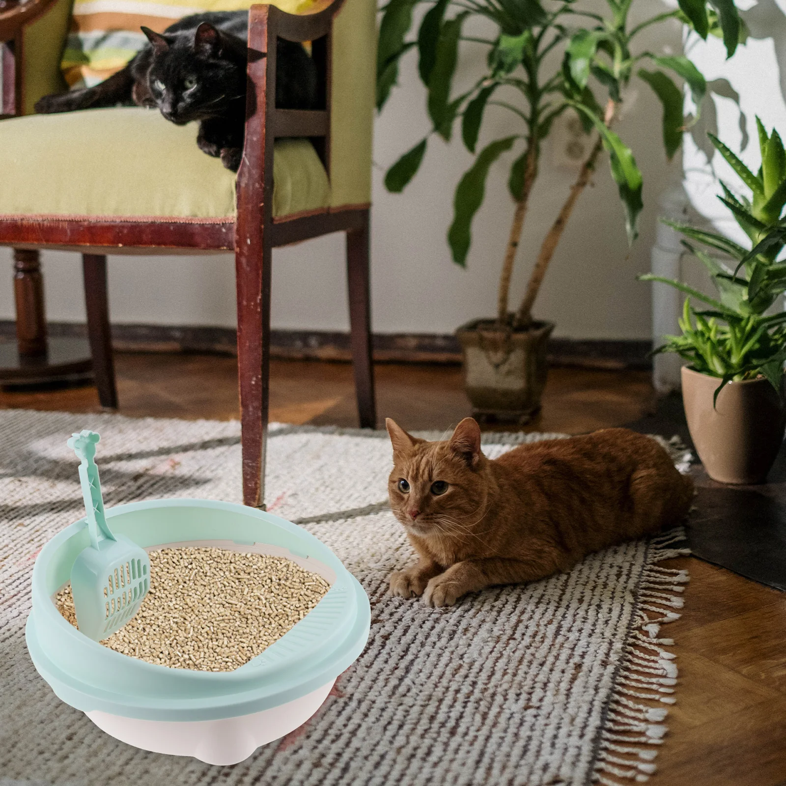 

Cat Litter Box Large Capacity Semi Enclosed Blue Small High Side Durable Plastic Portable Travel Kitten Potty Training Home Pet
