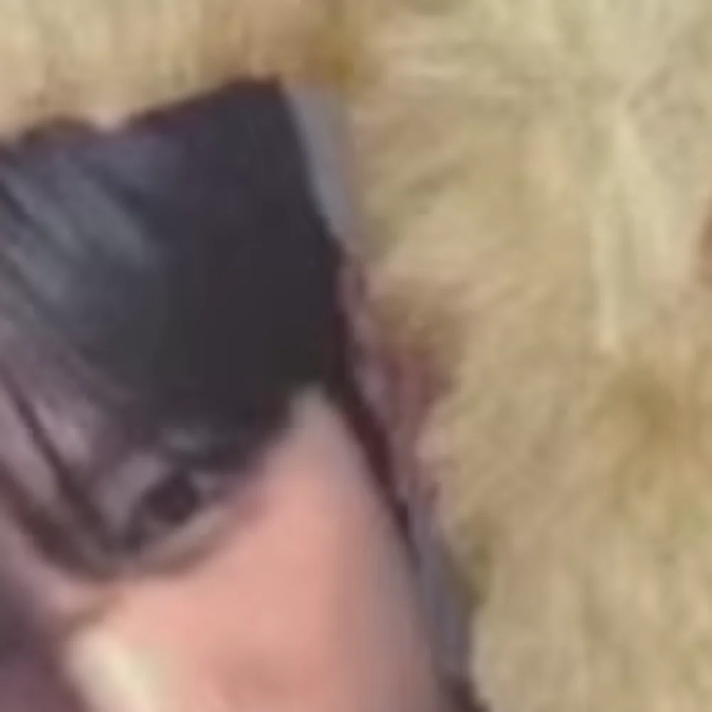 

Multifunctional Photocard Case Big Eared Rabbit/Border Collie Rabbit/Dog/Cat Card Case Plush Idol Photos Protective Cover Gift