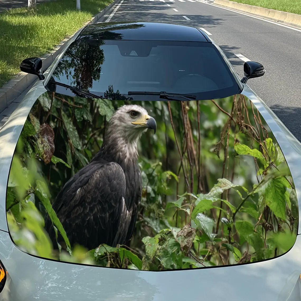 

Serene Eagle in Greenery Car Hood Stickers - Self-Adhesive, Waterproof and Durable Vinyl Wrap, Decorate And Protect Your Car, Fi