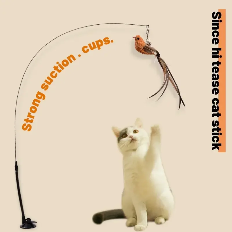

Upgraded Epoxy Sucker Steel Wire Long Rod Feather Cat Teasing Stick Cat Self Hi No Harmful Ingredients