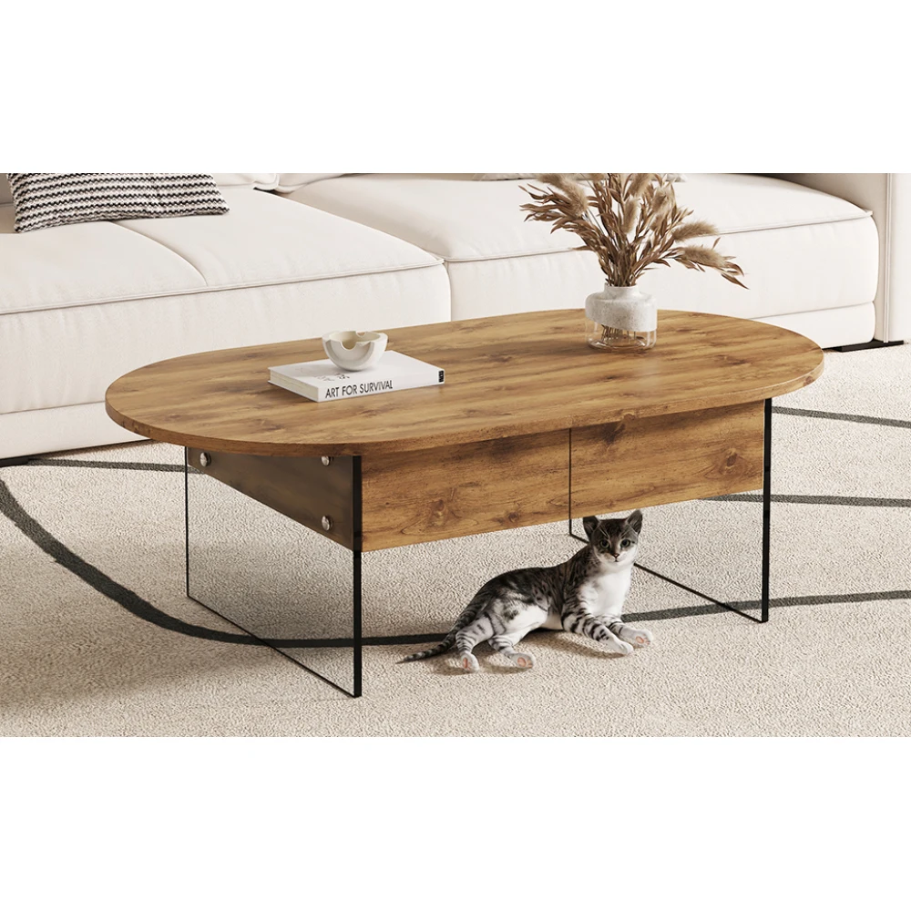 Modern Coffee Table with Double Drawers, MDF Top & Clear Tempered Glass Sides, Simple Storage Design