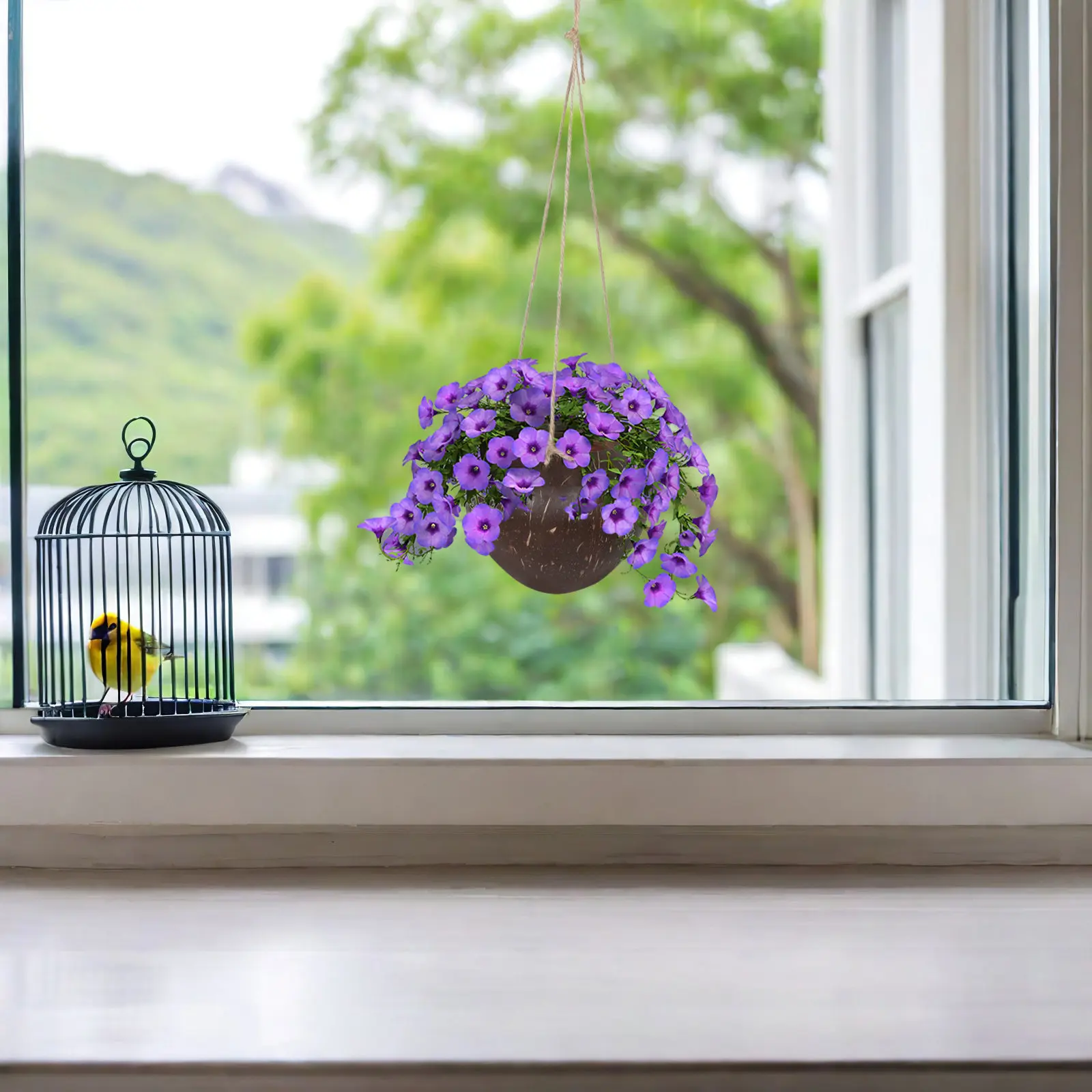 Coconut Shell Hanging Flower Pot Natural Breathing Design for Orchids Succulents Indoor Plants Balcony Garden Decor Wall Hanging