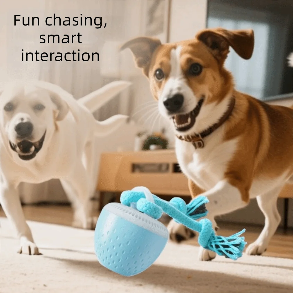 

Ударопрочный умный мяч для питомцев с произвольным движением, USB-зарядкой, автоматическим перемещением и веревкой, электронный мяч для собак, для дрессировки щенков