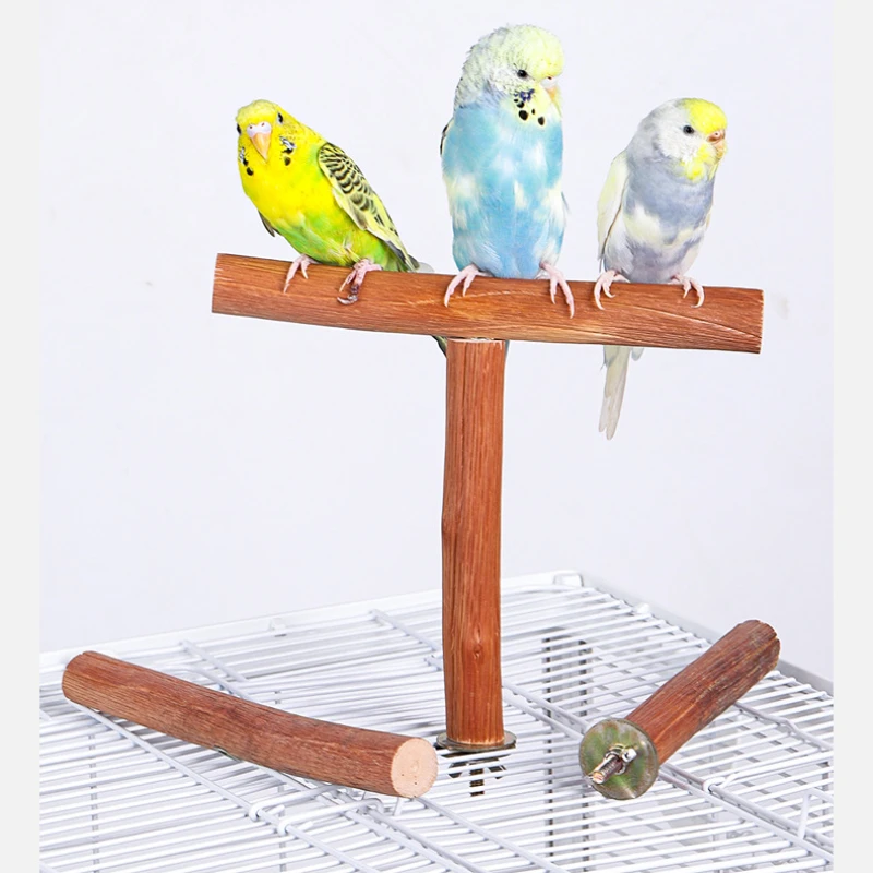 Natural Fruit Tree Parrot Pole Toy T-shaped  Bird Cockatiel Parakeet Perches Bite Claw Grinding Toy Bird Cage Accessories Pet To