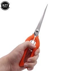 Aço inoxidável Fruit Picking Scissors, Thinning Poda Shears, Jardinagem Ferramenta, Plus Size