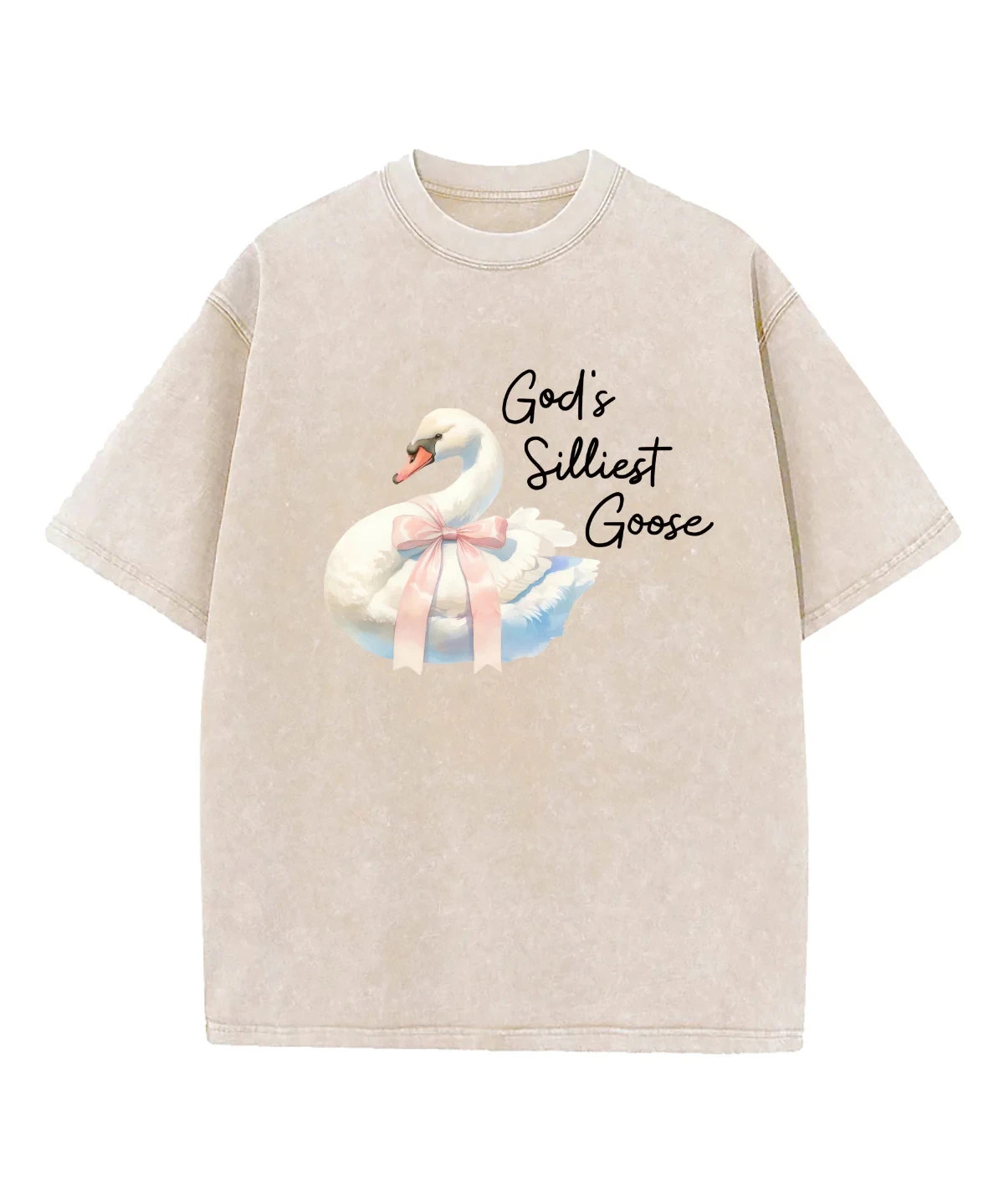

Христианская футболка God's Silliest Goose Washed – Soultt