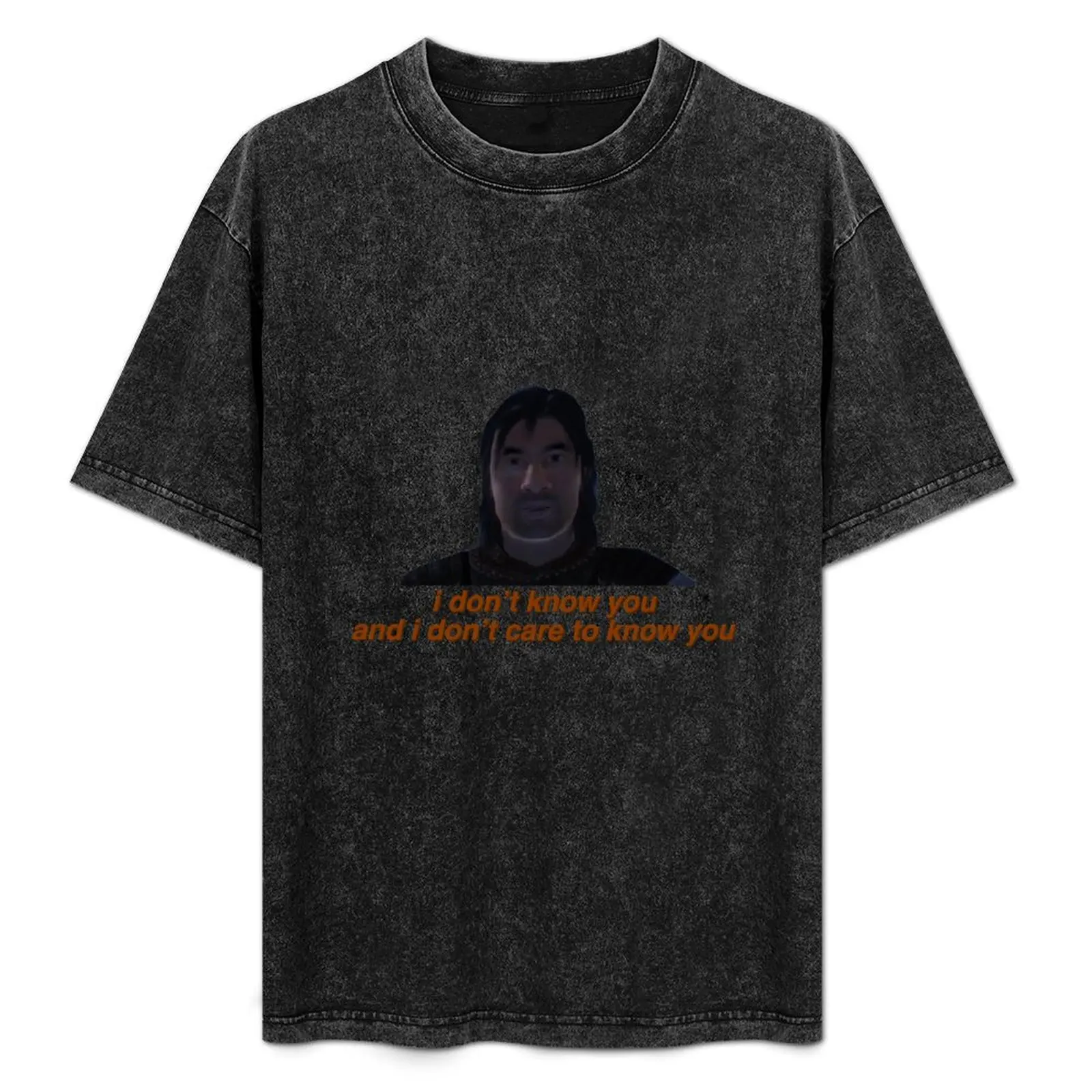 Je ne t'ai jamais croisé et je ne veux pas m'en soucier - T-shirt à manches courtes pour la fête de l'indépendance