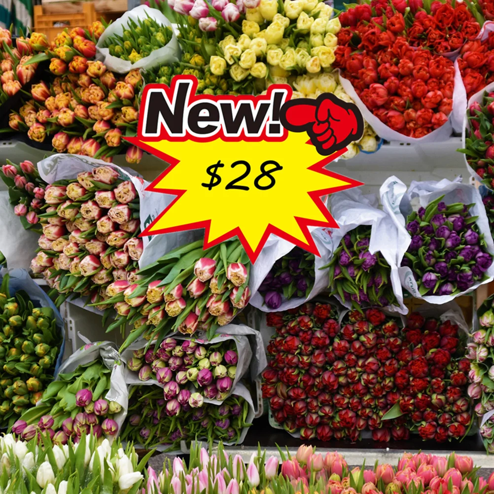 50개 가격표 프로모션 가격 표시 다용도 라벨 태그 스티커 광고 판매 행사 디스플레이 광고 태그